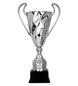 Okazyjny srebrny metalowy puchar 2075 - srebrne trofeum