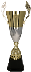 Okazjonalny stalowy puchar 3105 - eleganckie trofeum