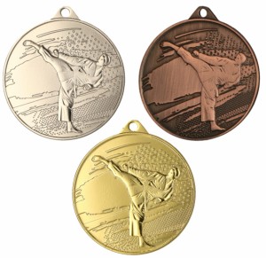Medal metalowy MMC4509 - karate