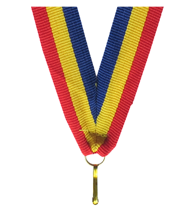 V2-BL_Y_RD NIEBIESKO ŻÓŁTO CZERWONA 22mm.png