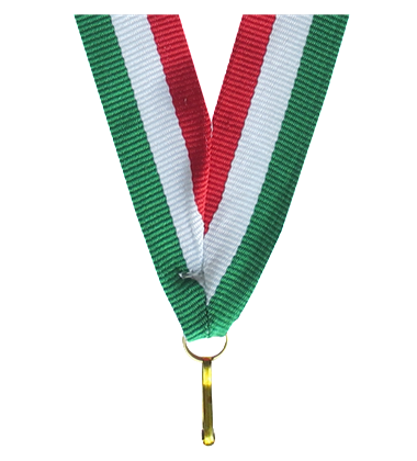 V2-R_W_GN CZERWONO BIAŁO ZIELONA.png