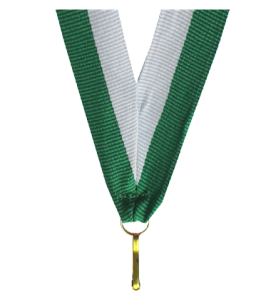Wstążka biało-zielona V-W/GN