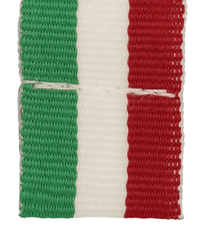 V3-GN_W_R  ZIELONO BIAŁO CZERWONA 20mm.png