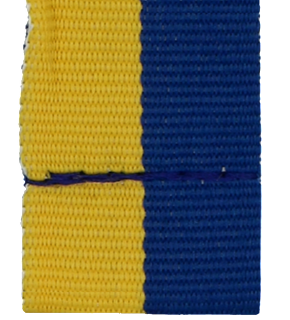 V3-Y_BL ŻÓŁTO NIEBIESKA 20mm.png