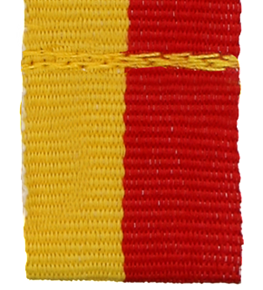 V3-Y_Rd  ŻÓŁTO CZERWONA 20mm.png