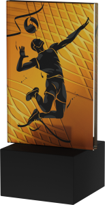 Statuetka szklana siatkówka AG1-12/VOL