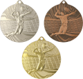 Medal stalowy siatkówka MMC41050.png
