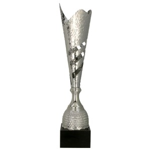 Srebrny puchar okazjonalny 3161 - trofeum sportowe