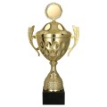 Metalowy puchar 4233P - trofeum sportowe.jpg