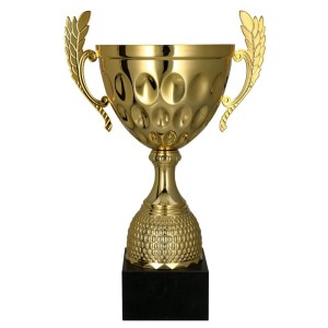 Metalowy puchar  4233 - trofeum sportowe