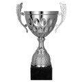 Metalowy puchar 4234 - trofeum sportowe.jpg