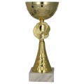 Złoty puchar metalowy 8485 - trofeum okazjonalne.jpg