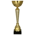 Puchar okolicznościowy 9285G - trofeum sportowe.jpg