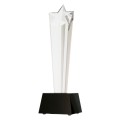 Trofeum szklane C081 w etui1.jpg