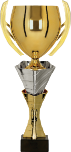 Metalowy puchar złoto srebrny 3152 - unikatowe trofeum