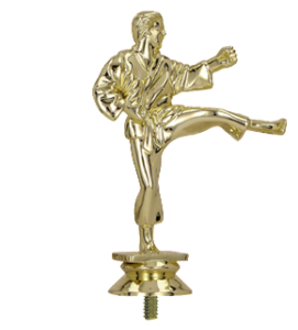 Figurka plastikowa karate F10/G