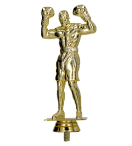 Figurka plastikowa boks F248/G