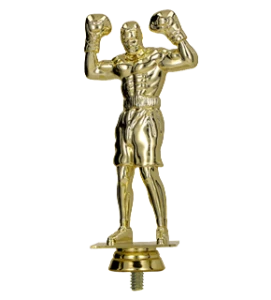 Figurka plastikowa boks F248/G