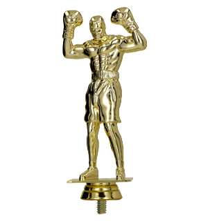 Figurka plastikowa boks F248/G