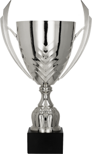 Puchar metalowy srebrny 4225 - trofeum sportowe