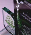 Trofeum szklane na zamówienie - statuetka szklana eko1.webp