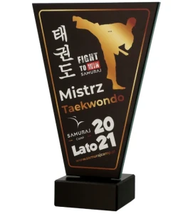 statuetka VL na zamówienie taekwondo - trofeum sztuki walki