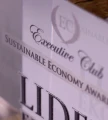 Statuetka dla firm w dziedzinie ekologii na zamówienie1.webp