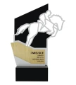 Statuetka customowa jeździectwo - trofeum skoki przez przeszkody.webp