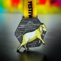 Medal odlewany festiwal biegowy.jpg