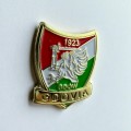 Pins metalowy odlewany klubowy BOK.JPG