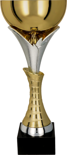 7135 kopia.png