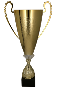 Złoty puchar 1076 - trofeum metalowe