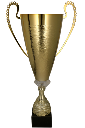Złoty puchar 1076 - trofeum metalowe