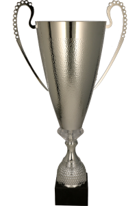 Srebrny puchar 1077 - trofeum metalowe