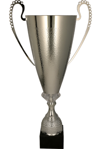 Srebrny puchar 1077 - trofeum metalowe