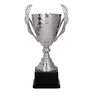 Srebrny puchar 2101 - nowoczesne trofeum