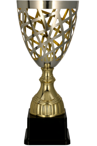 Złoto-srebrny puchar 3163 - nowoczesne trofeum