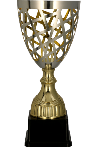 Złoto-srebrny puchar 3163 - nowoczesne trofeum