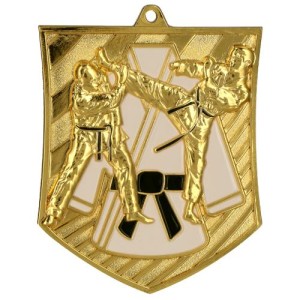Medal odlewany karate MD8054
