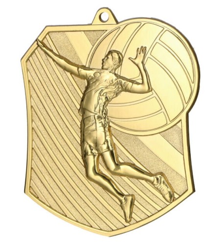 Medal odlewany siatkówka MD8047