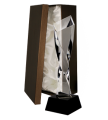 C060 W ETUI.png