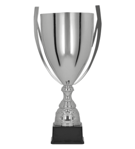 Srebrny puchar stalowy 1058 - elegancki srebrny puchar