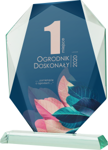 Prestiżowe trofeum szklane G042 w eleganckim etui