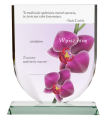 PhotoRoom_20240403_124150.PNG