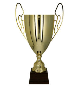 Ekskluzywny złoty puchar 1063- trofeum metalowe premium